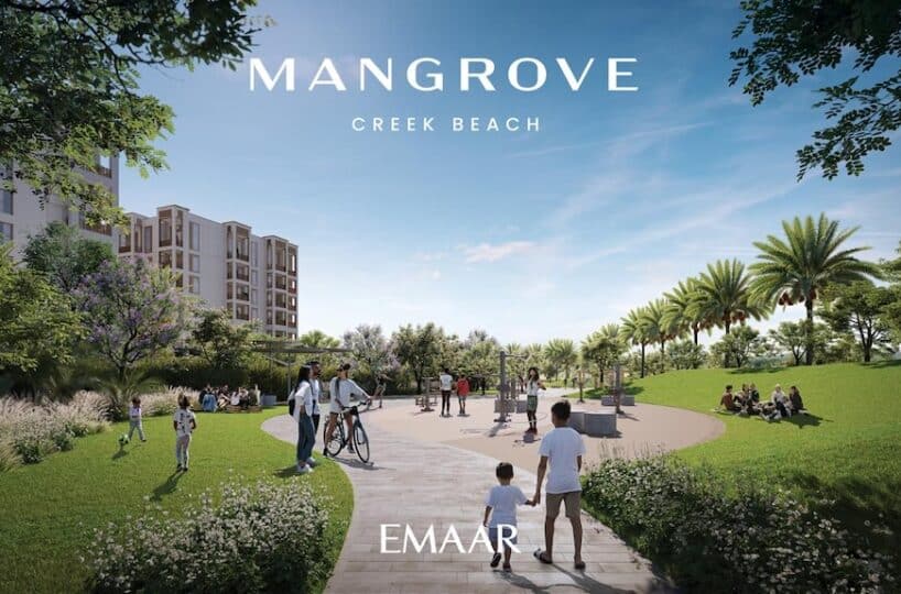 Mangrove At Creek Beach